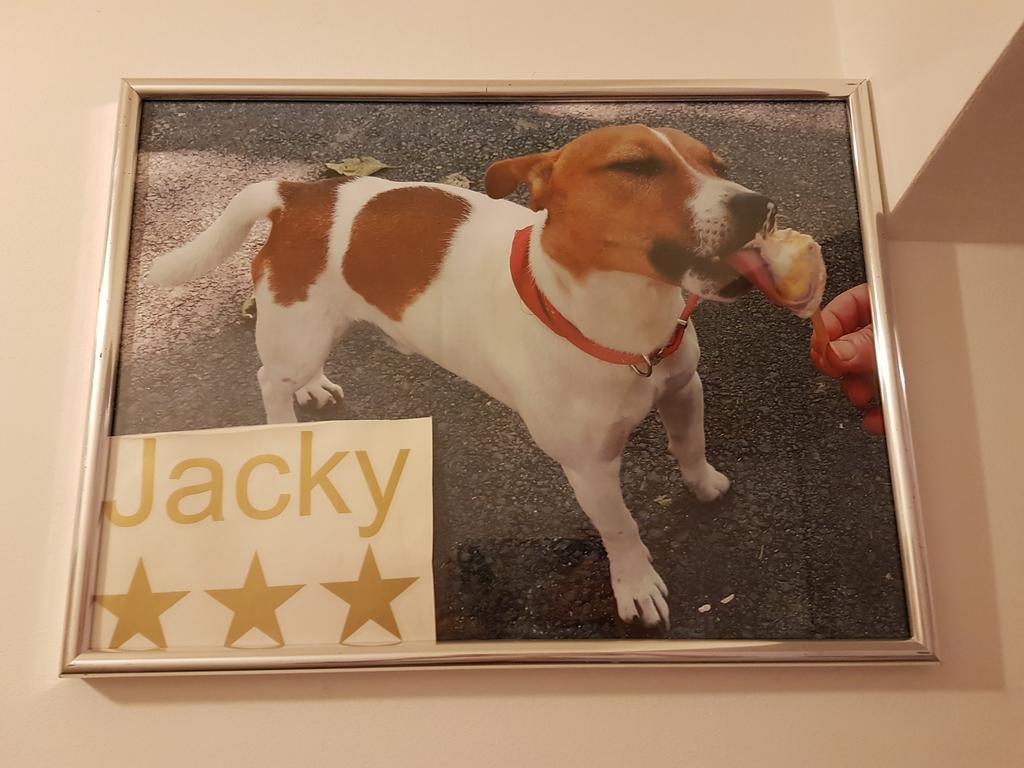 Jacky - City Centar זאגרב מראה חיצוני תמונה